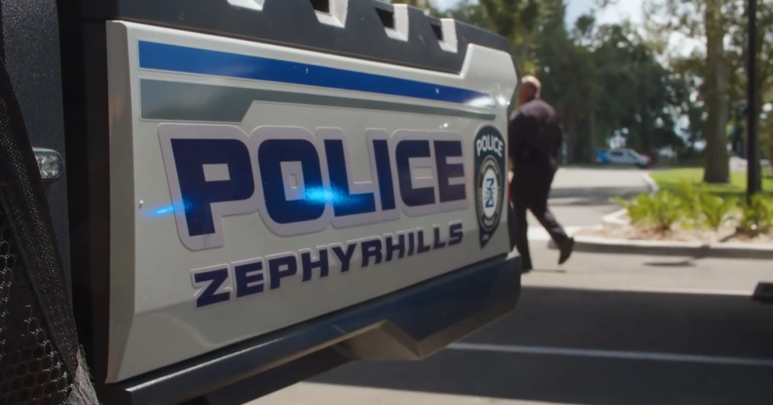 ZEPHYRHILLS: CHIPZ Community Hope and Intervention Project